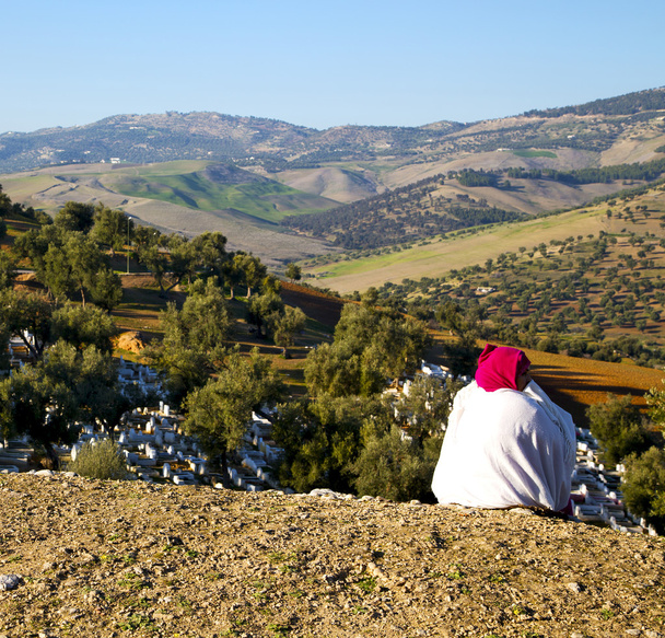 з висоти в селі Марокко африканське поле і споруди
 - Фото, зображення