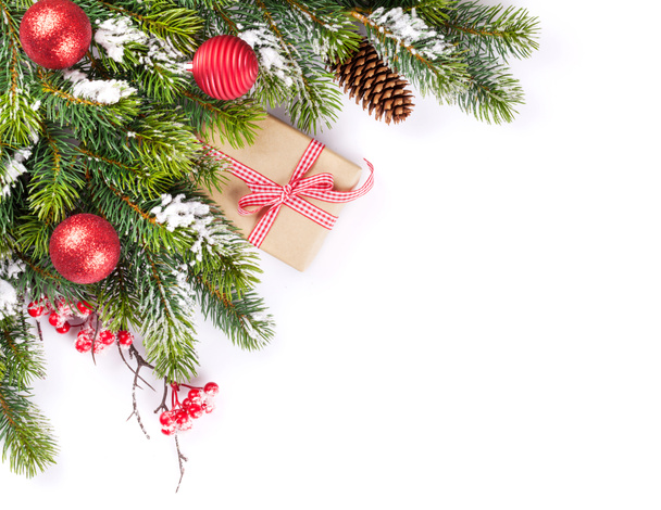Christmas tree branch and gift - Foto, Imagen