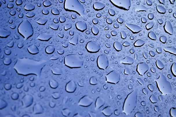 Water Droplets - Photo, Image