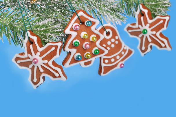 blue background with christmas gingerbread cookies - Fotó, kép