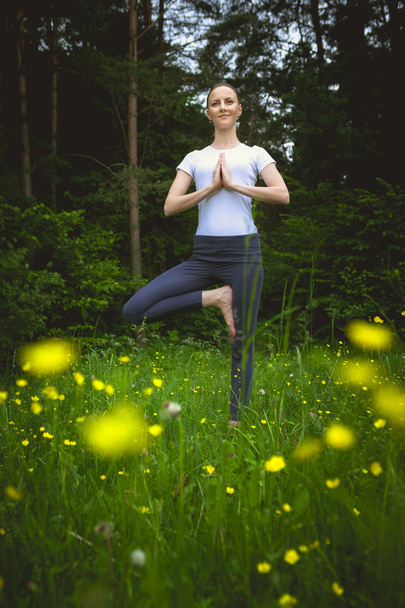 Heureuse jeune femme debout dans la pose de yoga vrikshasana sur l'herbe
 - Photo, image