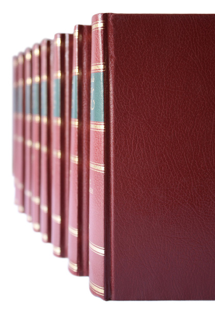 rij van fotoboeken met rode hard leder - Foto, afbeelding