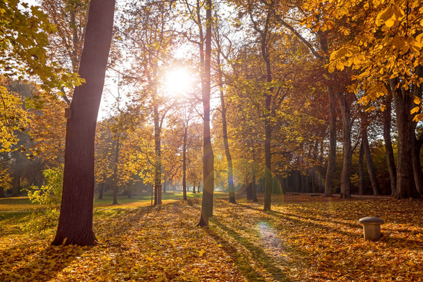 kolorowy krajobraz jesień - Zdjęcie, obraz