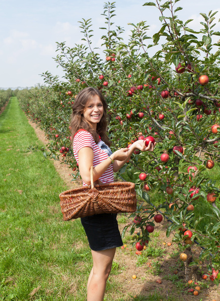 woman holding apple - Foto, imagen