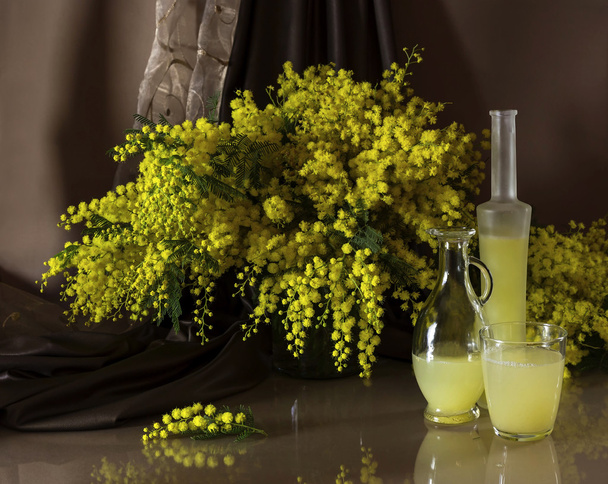 The bouquet of mimosa - Photo, Image