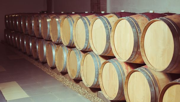 Las barricas de vino
 - Foto, imagen