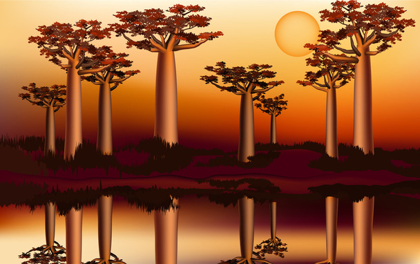 Puesta de sol en el bosque africano de baobab cerca del río 5
 - Vector, Imagen