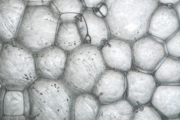 Silbereisblasen - Foto, Bild