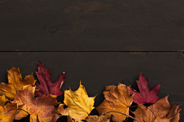 Autumn decoration with foliage and wooden background - Photo, image