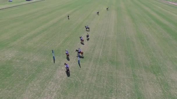 Polo match aerial drone view scene. - Footage, Video