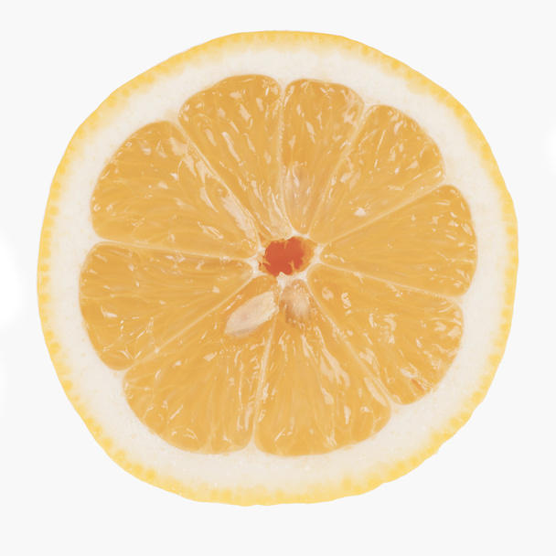 Solo rodaja de limón fresco
 - Foto, imagen