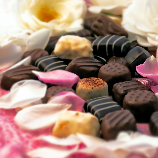 Chocolate truffles and rose petals - Square 02 - Foto, Imagem