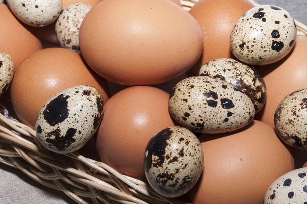 Tavuk yumurtası ve bıldırcın sepet - Fotoğraf, Görsel