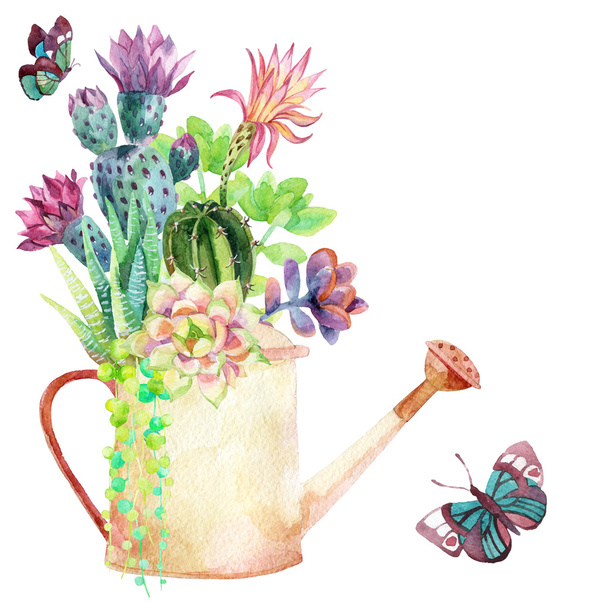 Watercolor succulents in a pot. - Photo, Image