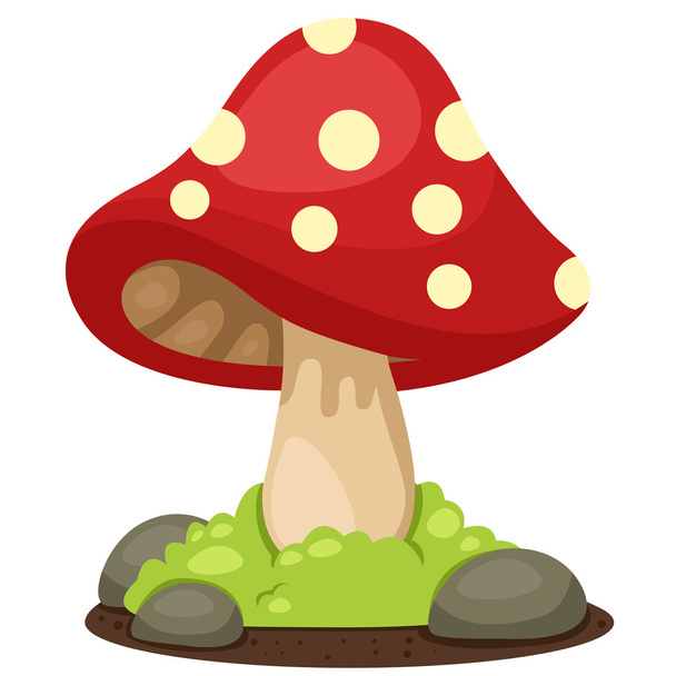 Illustrator of mushrooms landscape - Vector, Image