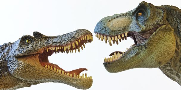 een spinosaurus gezichten af met een tyrannosaurus rex - Foto, afbeelding