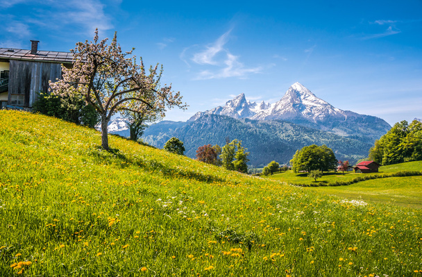 Paisaje alpino idílico con prados verdes, casas rurales y cumbres nevadas
 - Foto, Imagen