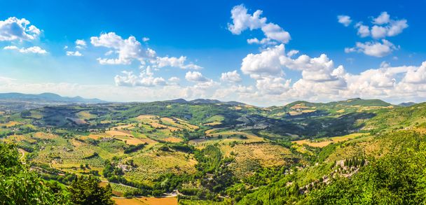 Bela vista de colinas, vinhas e prados, Úmbria, Itália
 - Foto, Imagem