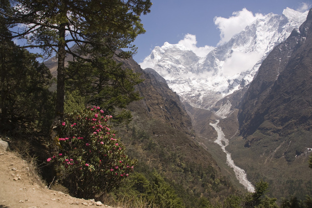 Треккинг в Гималаях
 - Фото, изображение