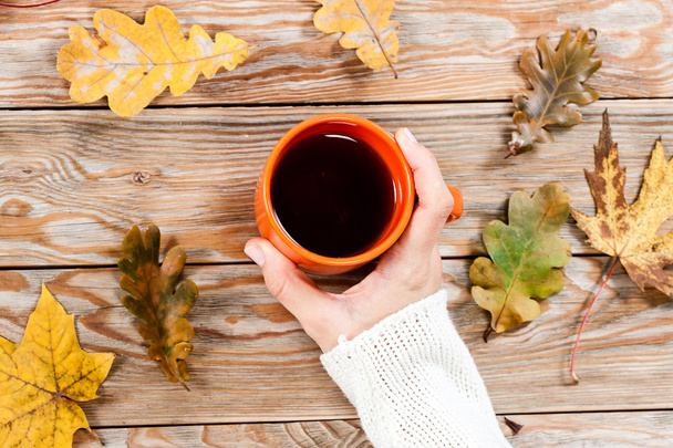 Female holding cup of tea on autumn background. - Fotoğraf, Görsel