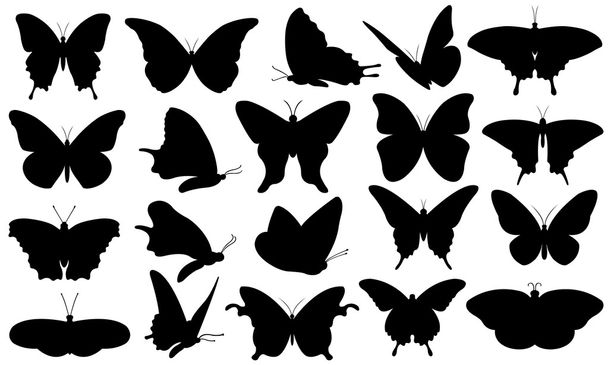 Vlinders - Vector, afbeelding