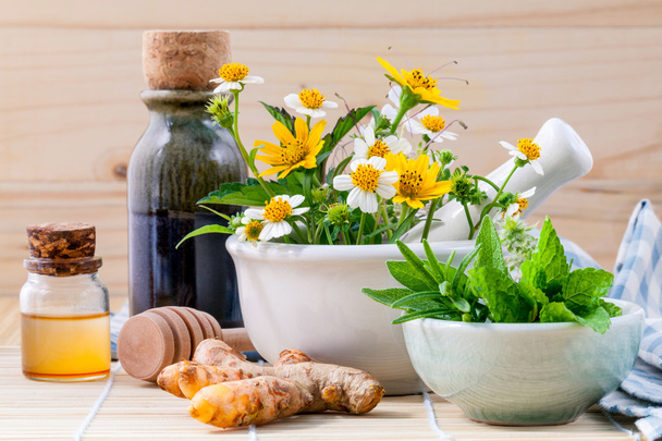 Εναλλακτική υγειονομική περίθαλψη φρέσκα βότανα, μέλι και άγριο λουλούδι . - Φωτογραφία, εικόνα