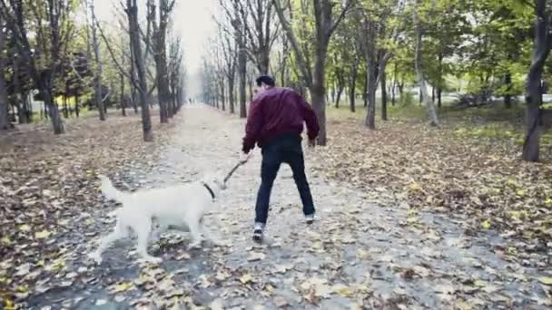 jovem brincando com dois cães no parque de outono
 - Filmagem, Vídeo