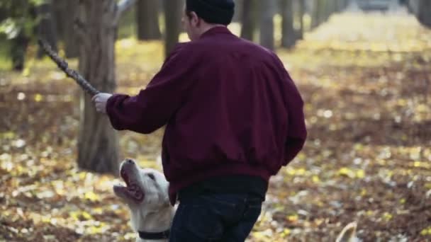 秋の公園で 2 匹の犬と遊ぶ若い男 - 映像、動画
