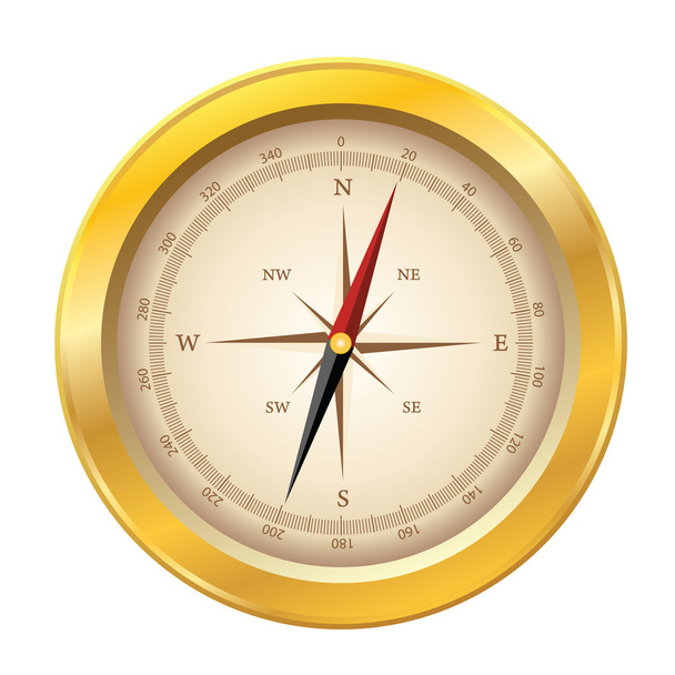 Vector compass icon - Вектор, зображення
