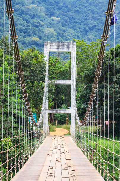 sling bridge closeup - Photo, Image