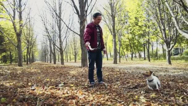 joven jugando con dos perros en el parque de otoño
 - Imágenes, Vídeo
