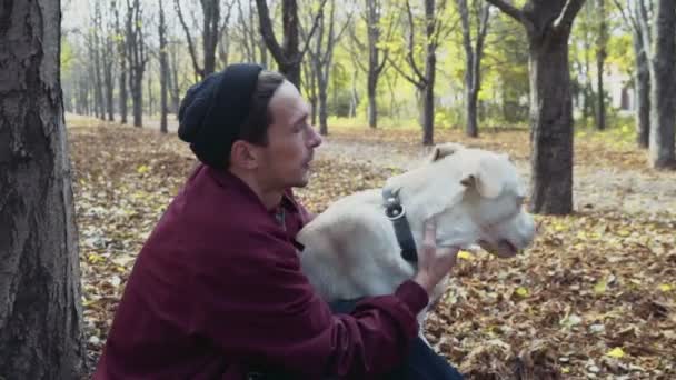 чоловік і собака сидять біля дерева в осінньому парку п'ють каву
 - Кадри, відео