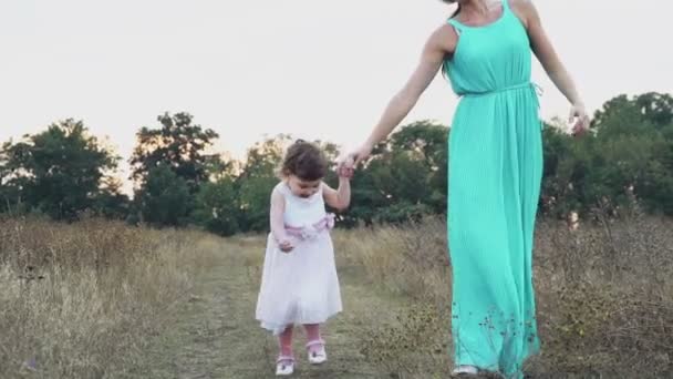 matka i jej córeczka, chodzenie na polu jesień - Materiał filmowy, wideo
