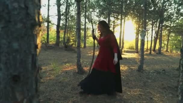 rothaarige junge Frau, die als Hexe verkleidet durch den Wald geht - Filmmaterial, Video