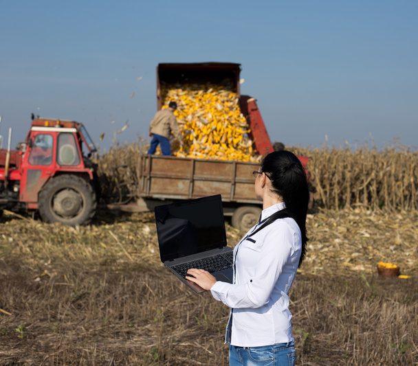 Жінка-агроном з ноутбуком в кукурудзяному полі
 - Фото, зображення