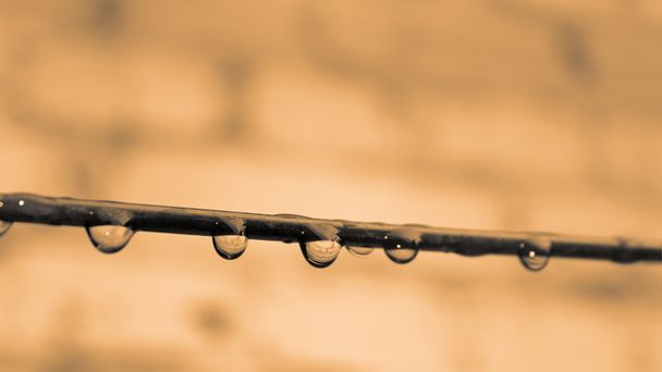Wire with water drops - Photo, Image
