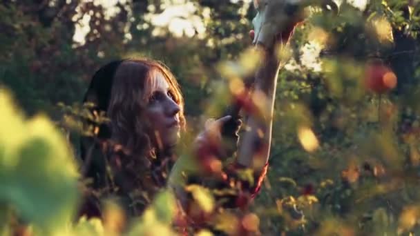młoda kobieta ubrana jak czarownica brodzenie przez krzaki - Materiał filmowy, wideo