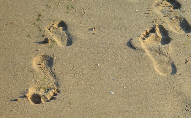 pasos en la playa - Foto, imagen