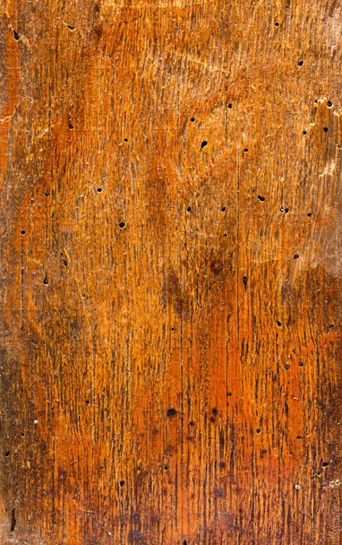 decorative wooden texture - Fotó, kép