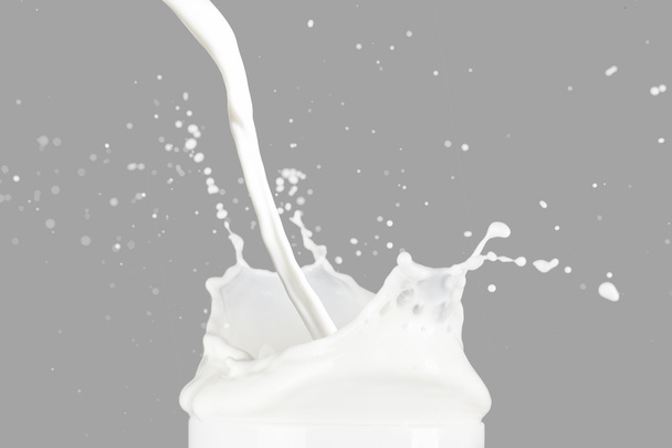 White milk splash - Φωτογραφία, εικόνα
