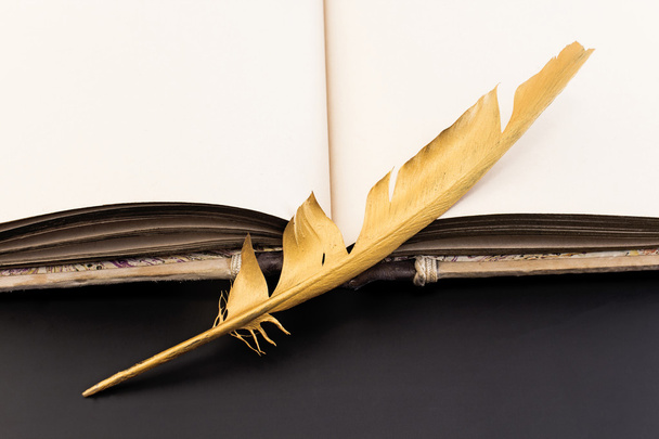 Pena dourada e livro sobre um fundo preto
 - Foto, Imagem