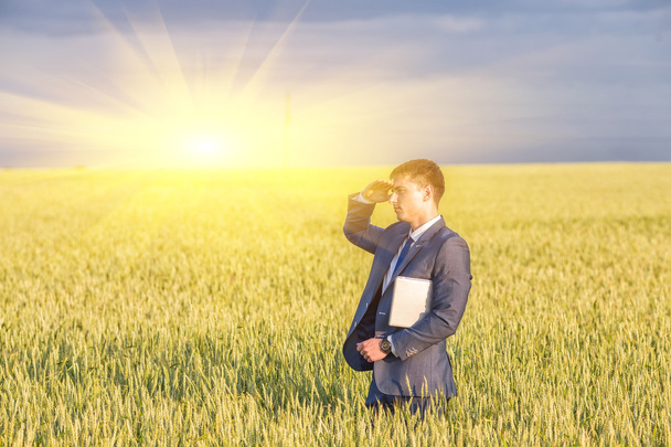 Homme d'affaires sur un champ de blé
 - Photo, image