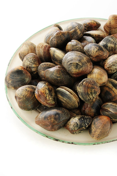 fresh clams in plate - Photo, Image