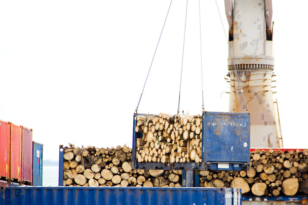 Container mit Holz wird von einem Kran angehoben - Foto, Bild