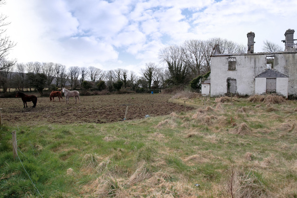 Стару покинутій фермі
 - Фото, зображення