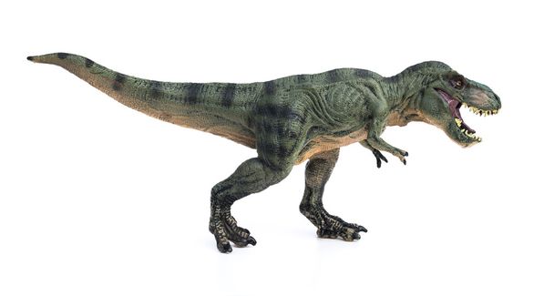 jouet tyrannosaure sur fond blanc
 - Photo, image