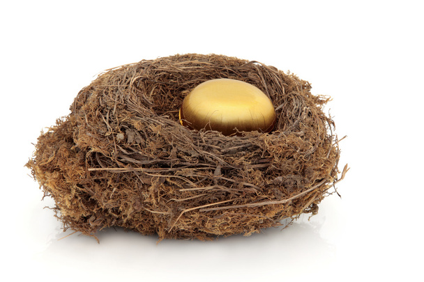 Golden Nest Egg - Photo, Image