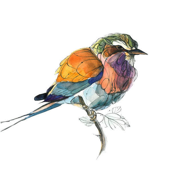 Watercolor hand drawn bird. Vector illustration - Vector, Image