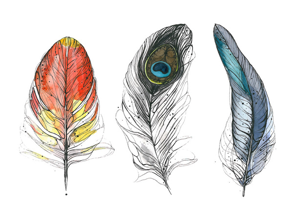 Watercolor feather. Vector illustration - Vector, Image
