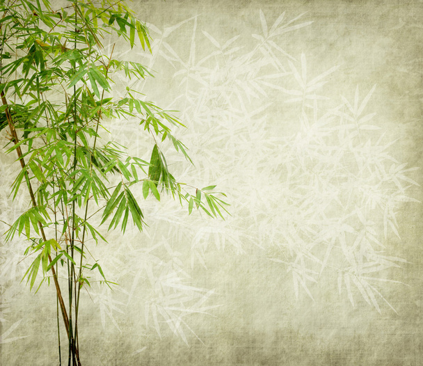 Eski grunge kağıt doku arka planında bambu - Fotoğraf, Görsel